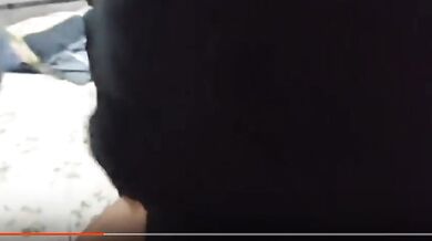 Pakistani Gay lawyer ek dosre ki gand marte hue anal sex video