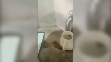 Desi toilet me khubsurat ladki ki chudai